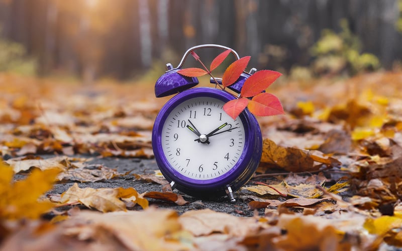 Clock in fall season leaf conveying urgency with rate dropping for certificates