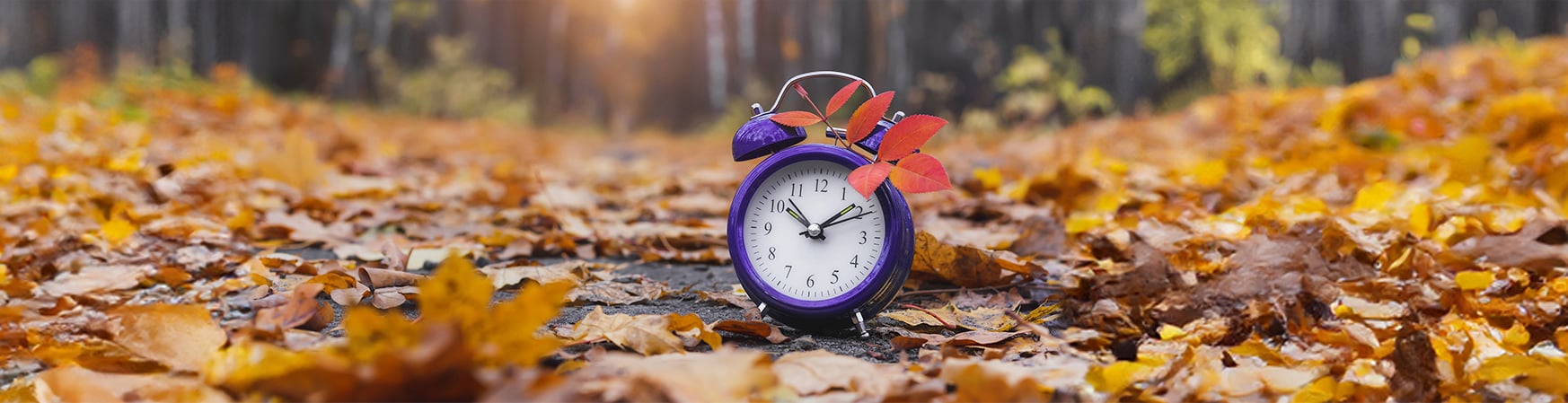 Clock in fall season leaf conveying urgency with rate dropping for certificates longer page