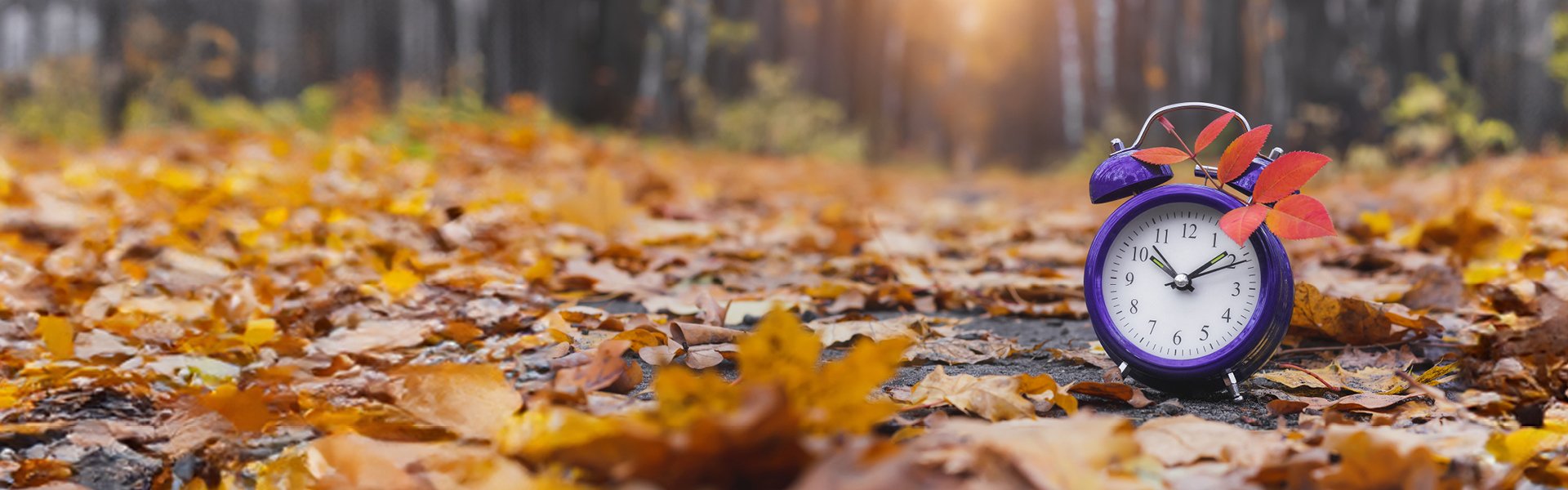 Autumn landscape with foliage and an alarm clock